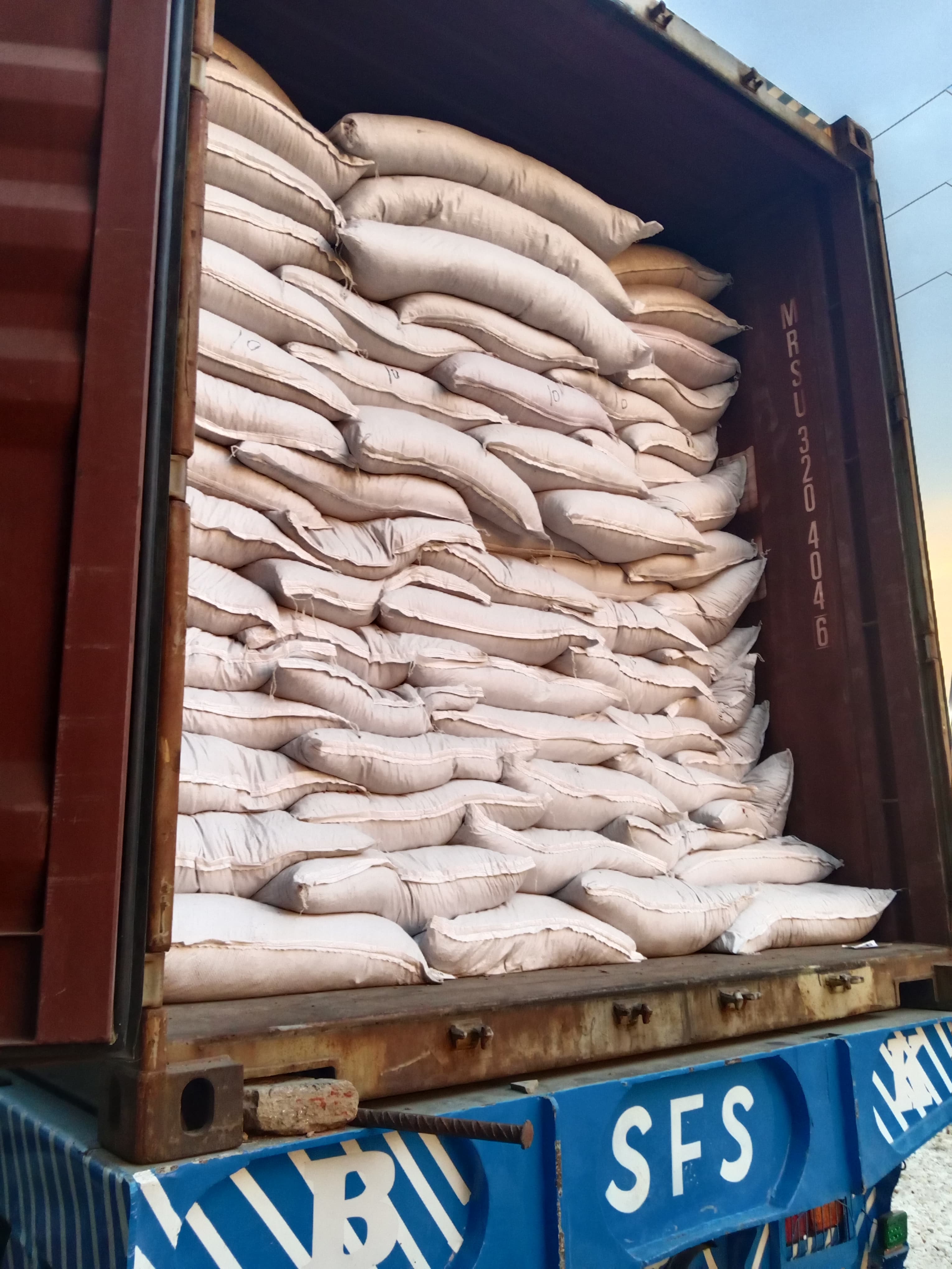 Container loading of alfalfa seed at Karachi Port for shipment to Iraq