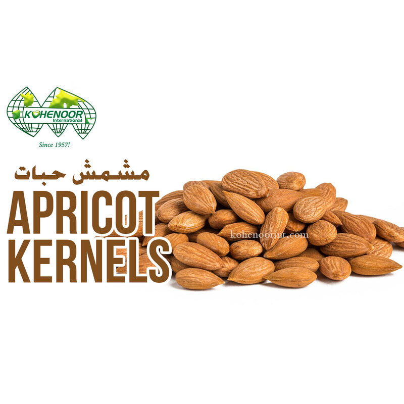 Apricot Kernels