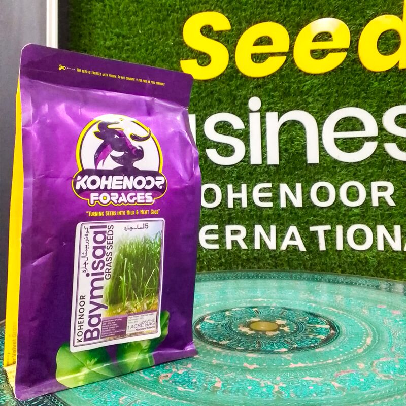 Baymissal Seeds