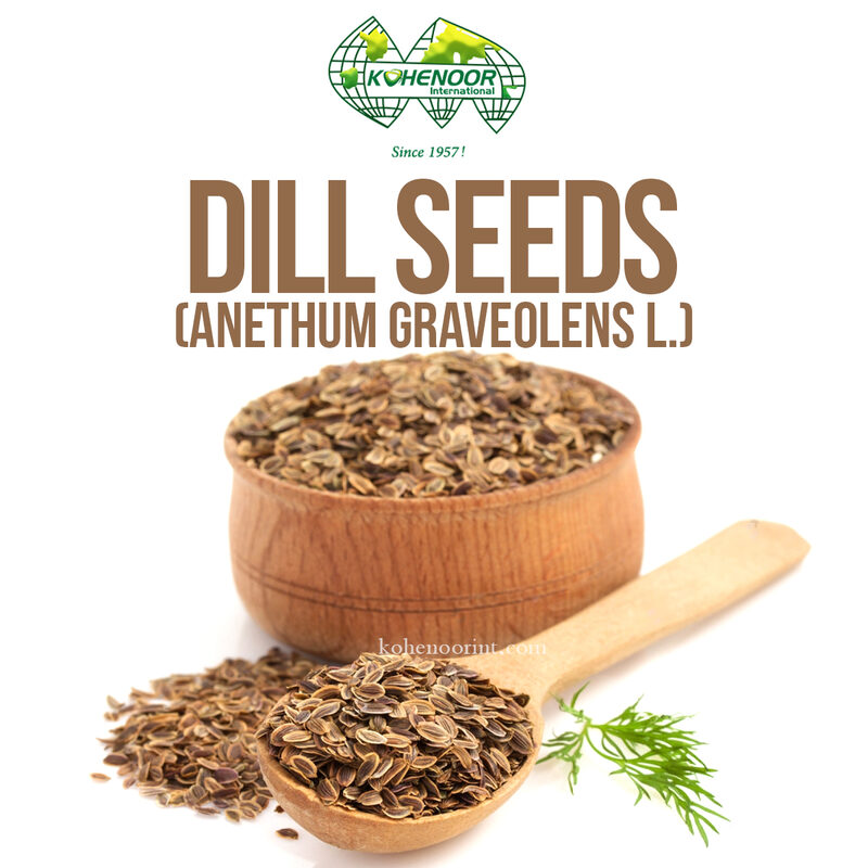 Dill Seeds