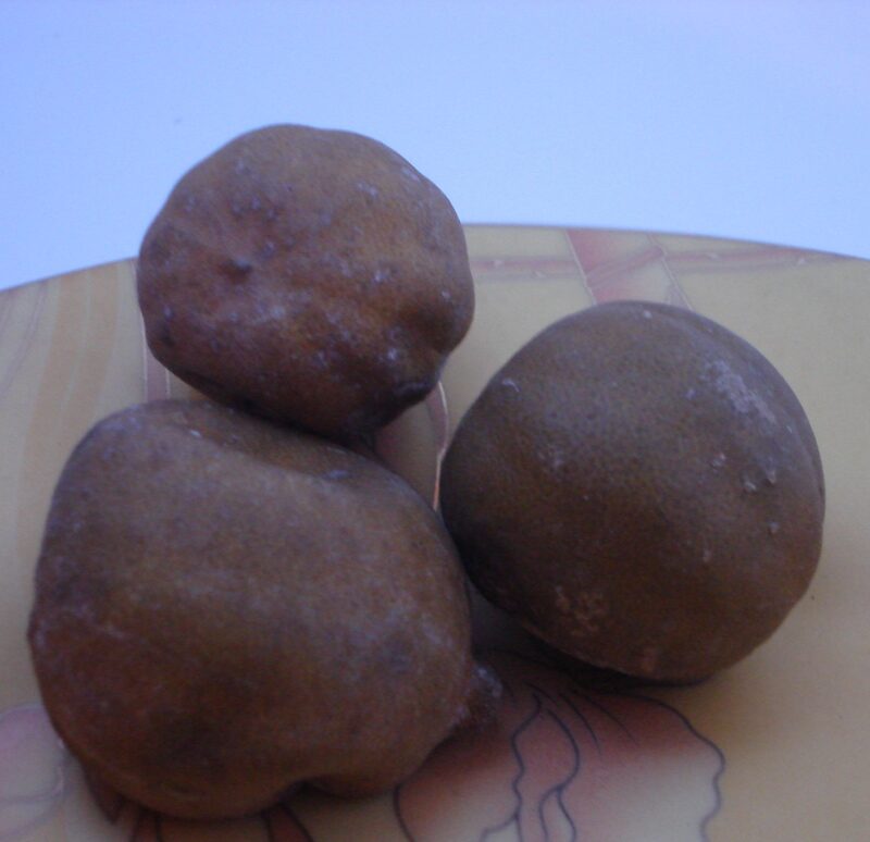 Dried Lemon (Loomi) — Citrus limon dried