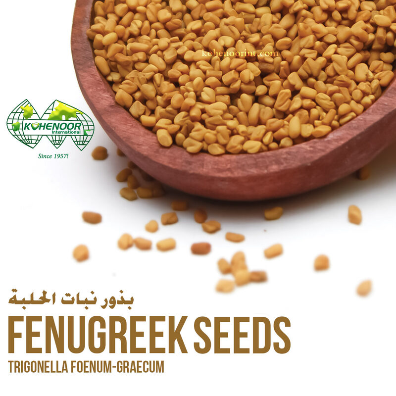 Fenugreek Seeds
