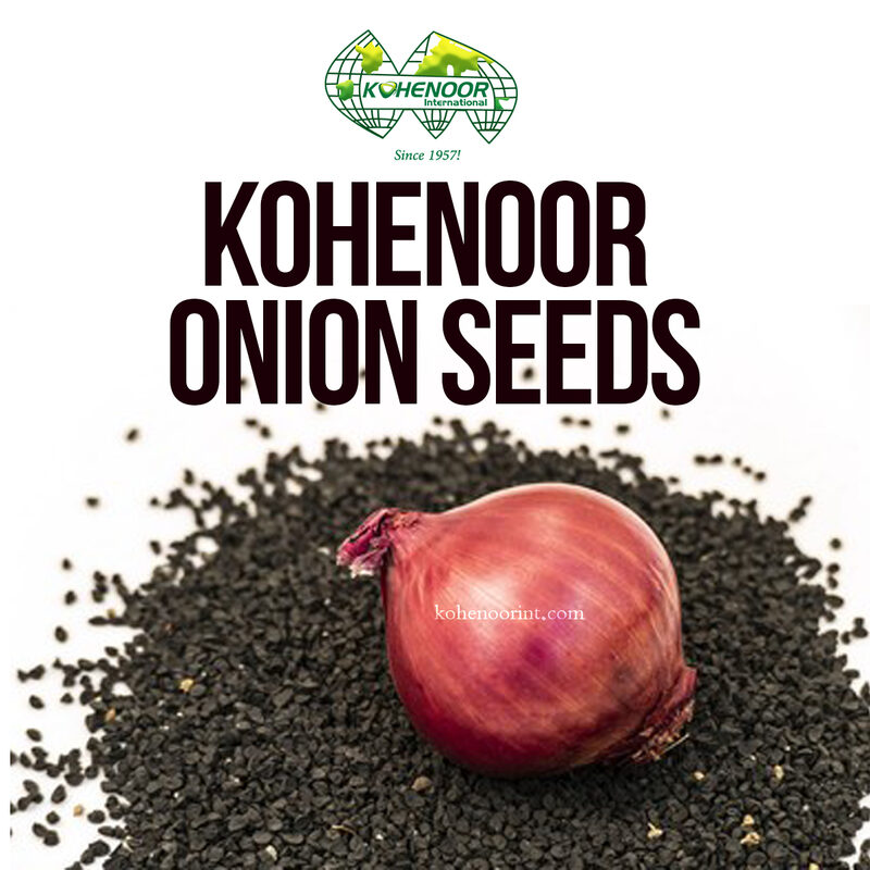 Onion Seeds