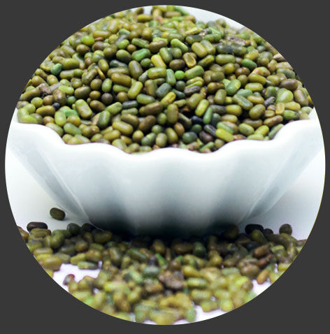 Sesbania Seeds